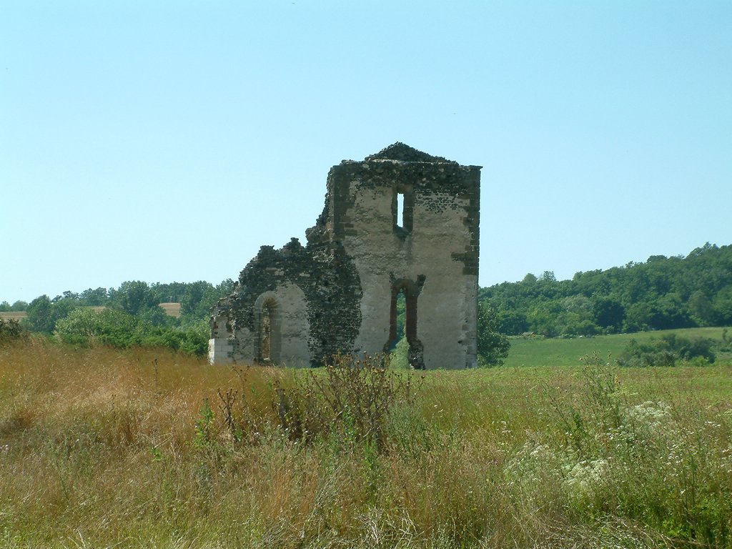 DSCF0115.JPG