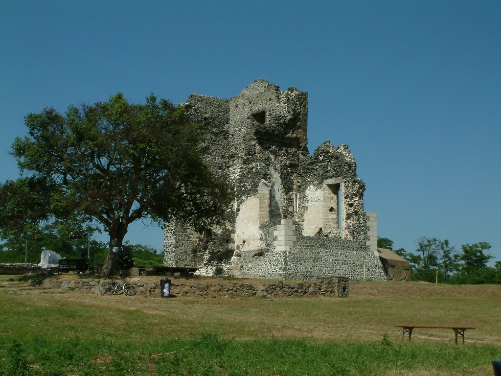 DSCF0118.JPG