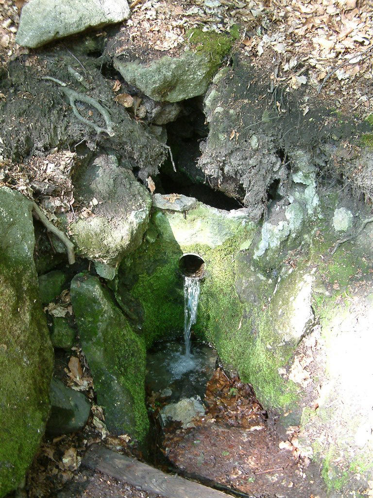 DSCF0123.JPG