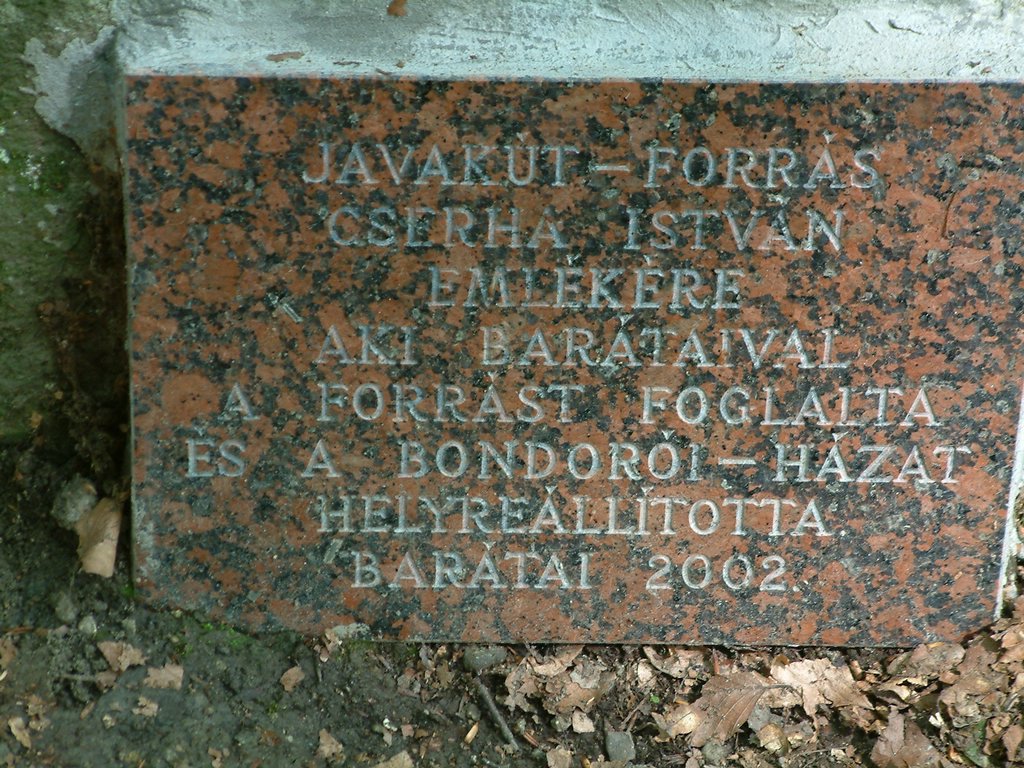 DSCF0125.JPG