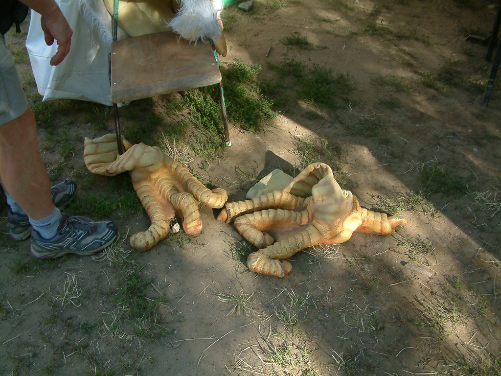 DSCF0127.JPG