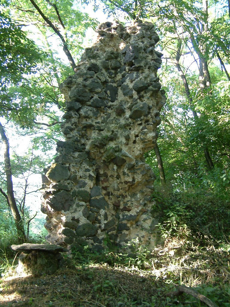 DSCF0133.JPG