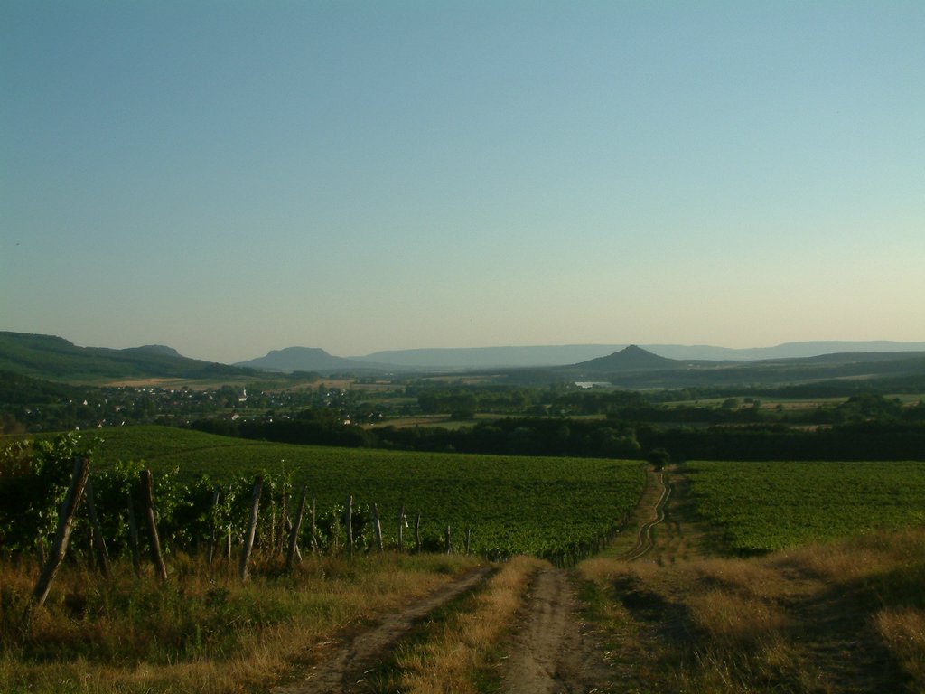 DSCF0138.JPG