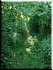 DSCF0054.JPG