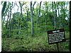 DSCF0055.JPG