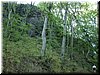 DSCF0057.JPG