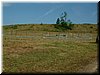 DSCF0065.JPG
