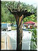 DSCF0067.JPG