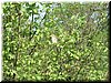 DSCF0069.JPG