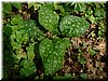 DSCF0073.JPG