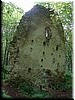 DSCF0075.JPG