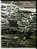 DSCF0082.JPG