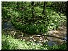 DSCF0088.JPG