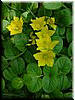DSCF0089.JPG