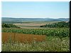 DSCF0095.JPG