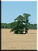 DSCF0108.JPG