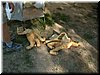 DSCF0127.JPG