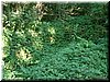DSCF0130.JPG