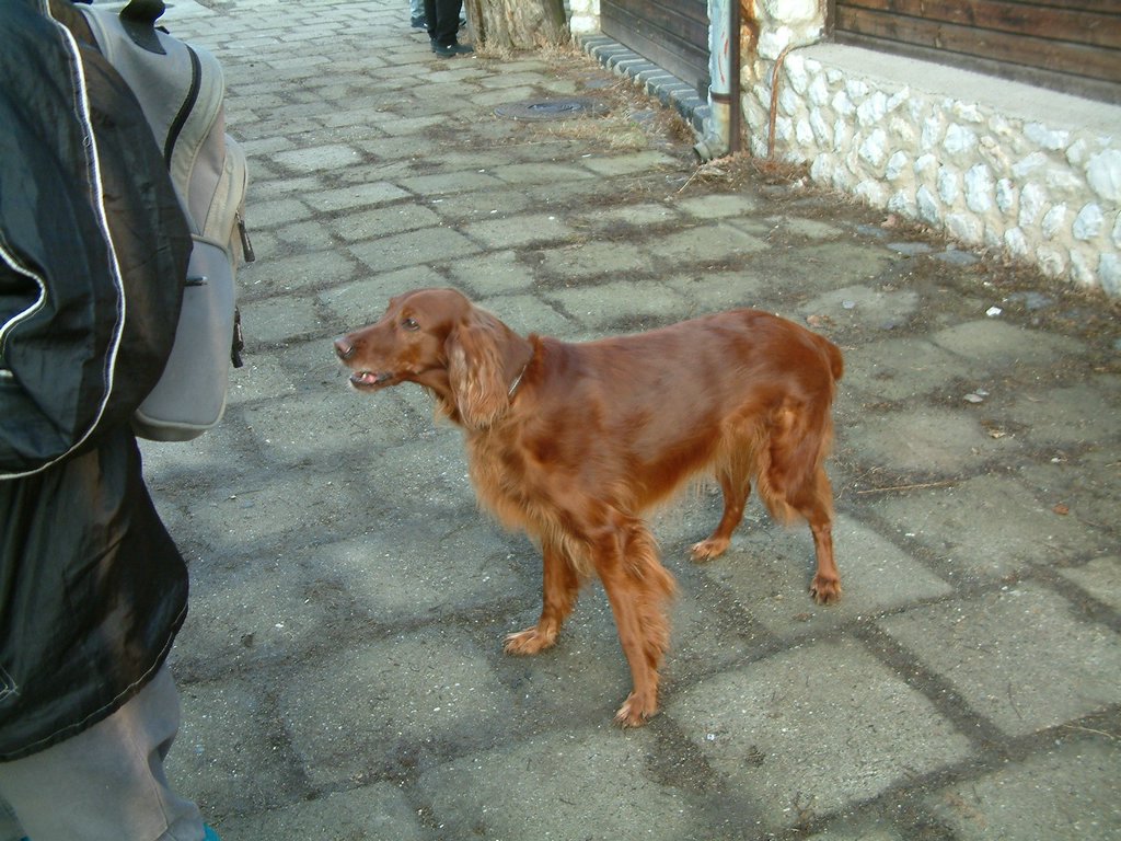 DSCF0013.JPG