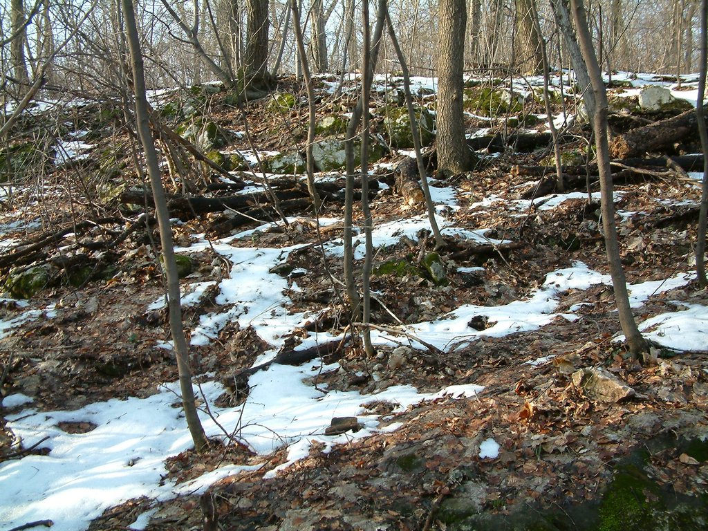 DSCF0024.JPG