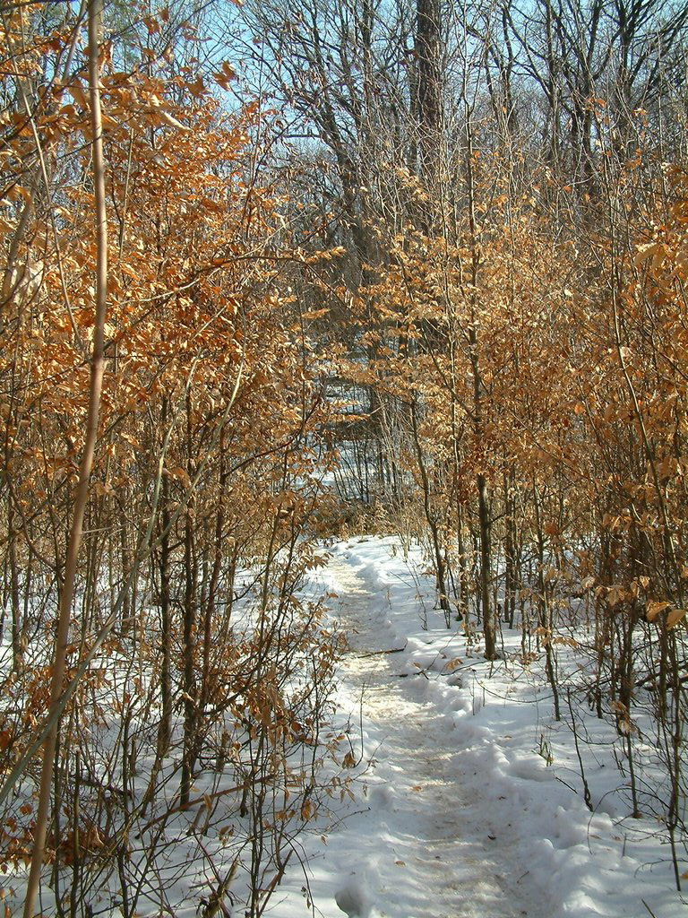 DSCF0031.JPG