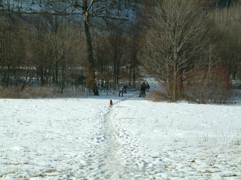 DSCF0033.JPG