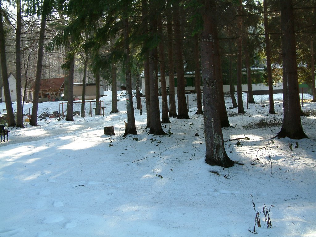DSCF0034.JPG