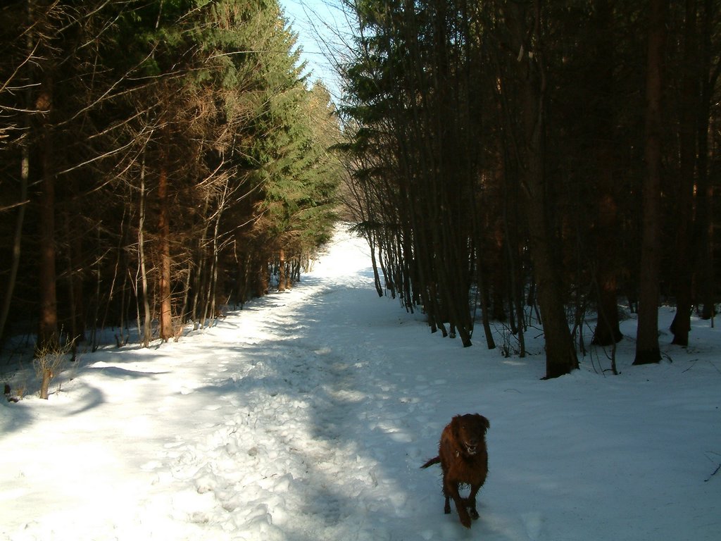DSCF0035.JPG