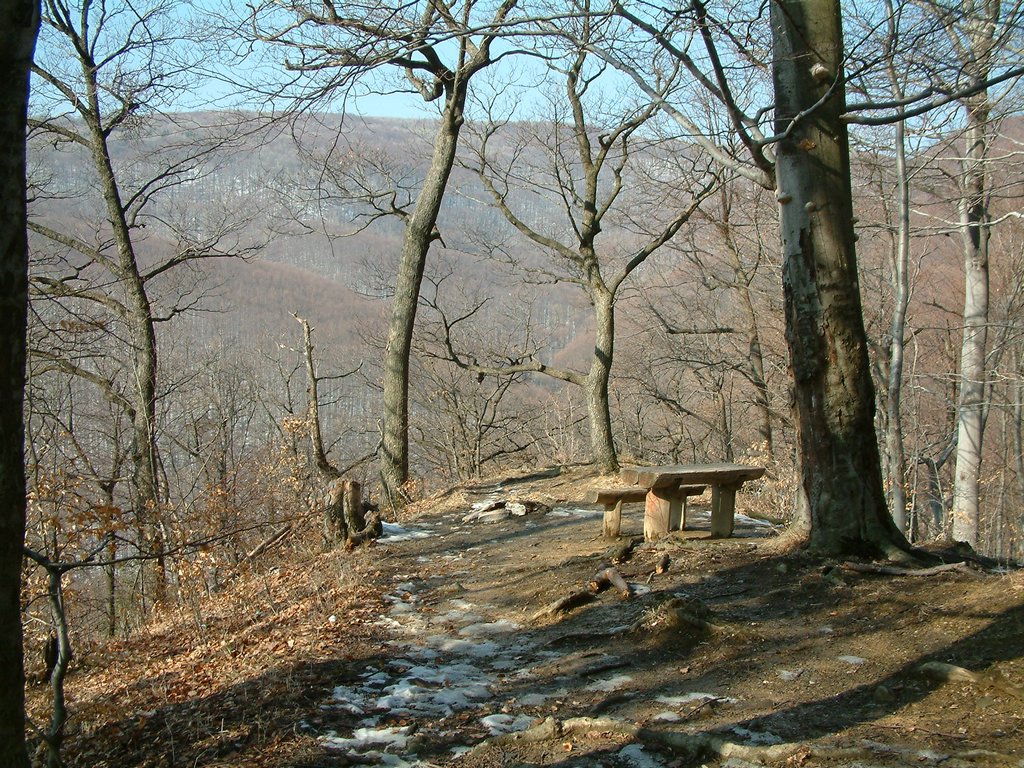 DSCF0036.JPG