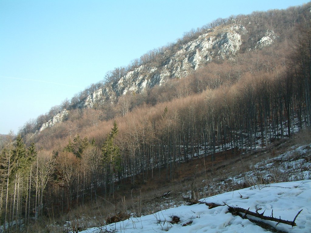 DSCF0037.JPG