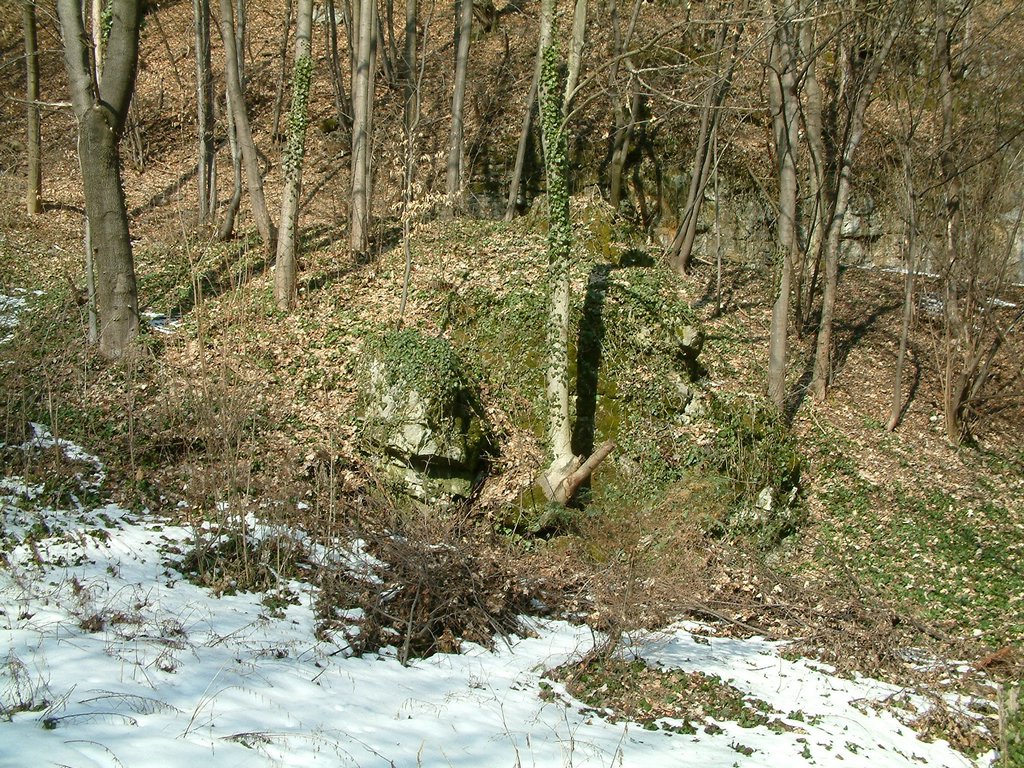 DSCF0039.JPG