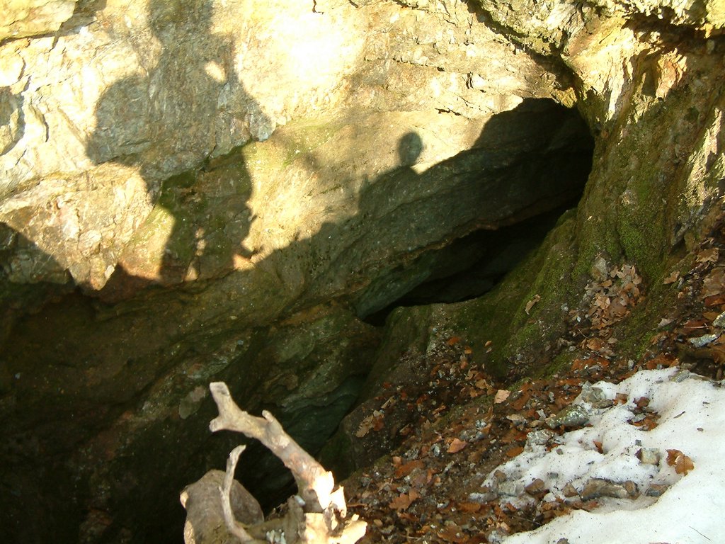 DSCF0040.JPG