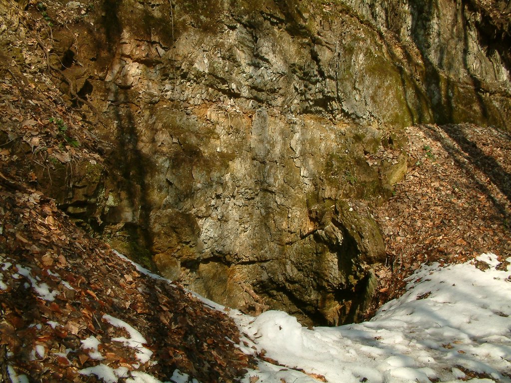 DSCF0041.JPG