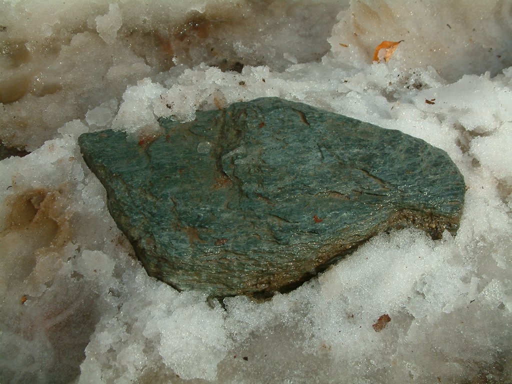 DSCF0043.JPG