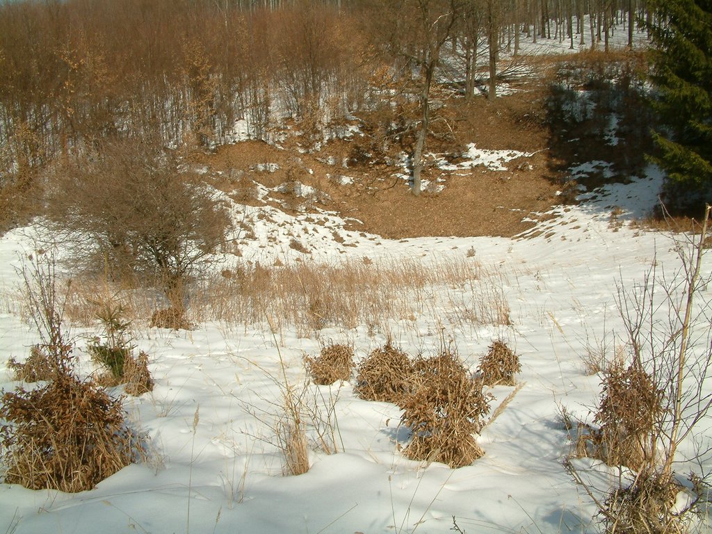 DSCF0054.JPG