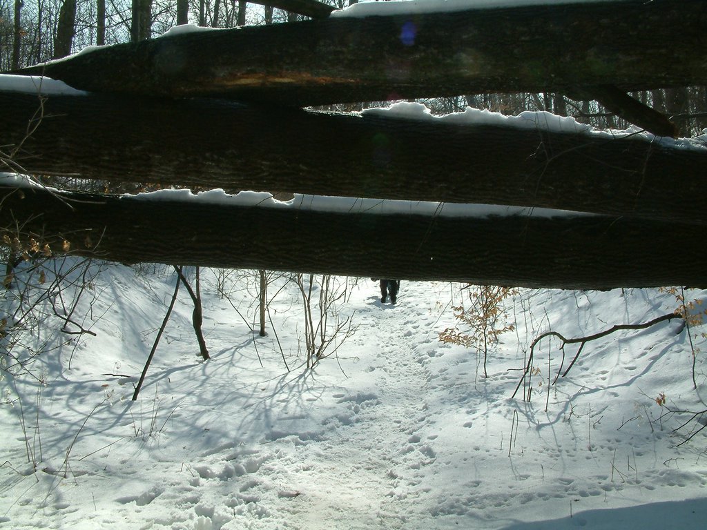 DSCF0058.JPG