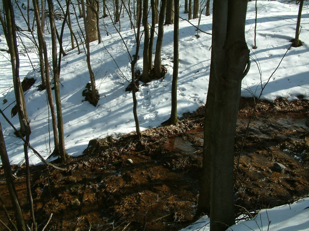 DSCF0060.JPG