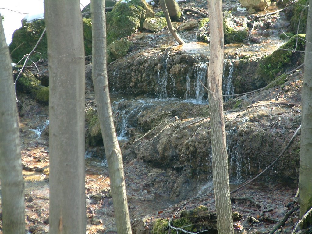 DSCF0063.JPG