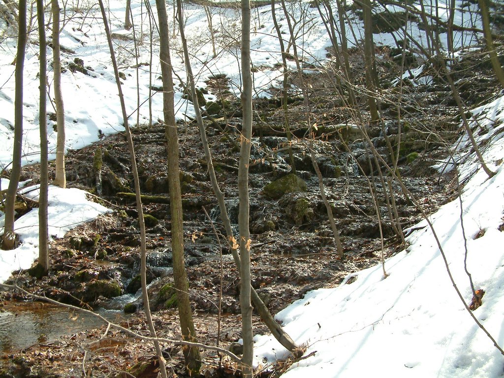 DSCF0065.JPG