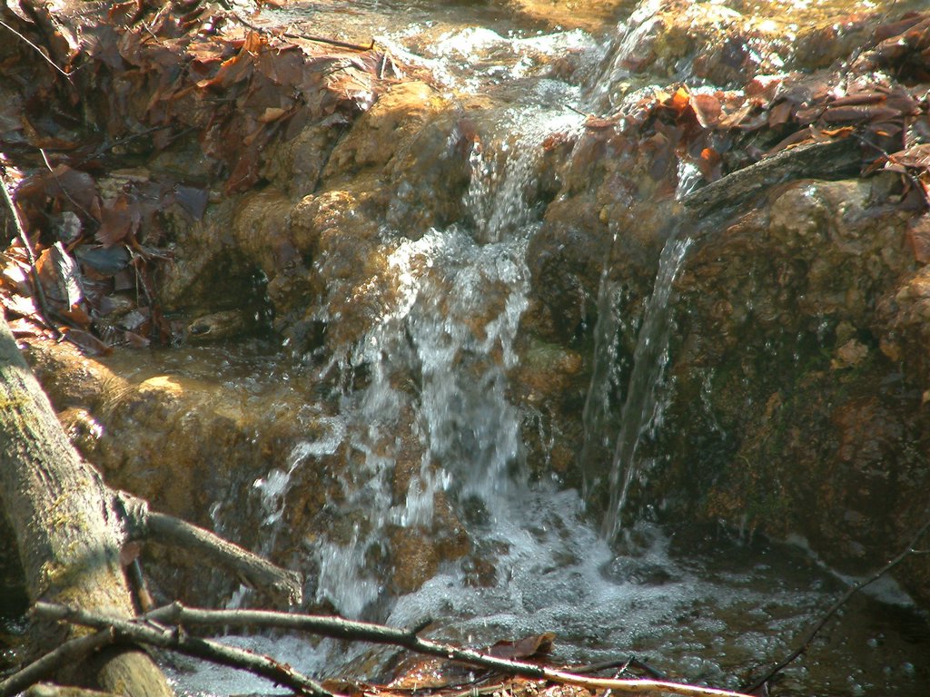 DSCF0067.JPG