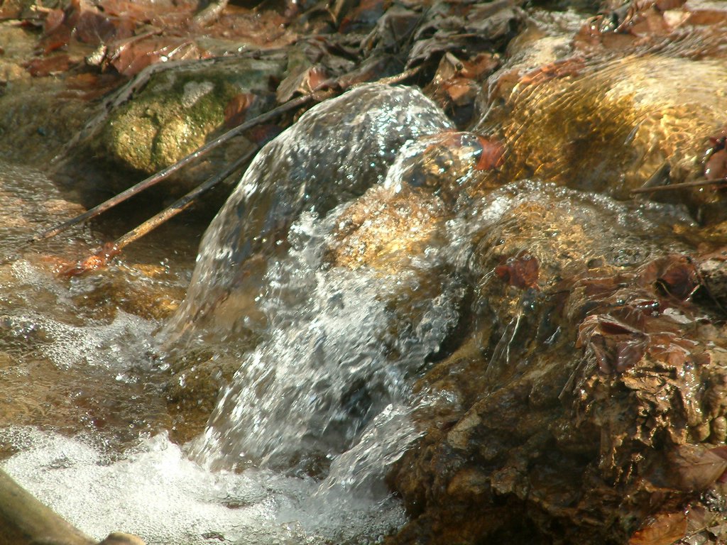 DSCF0068.JPG