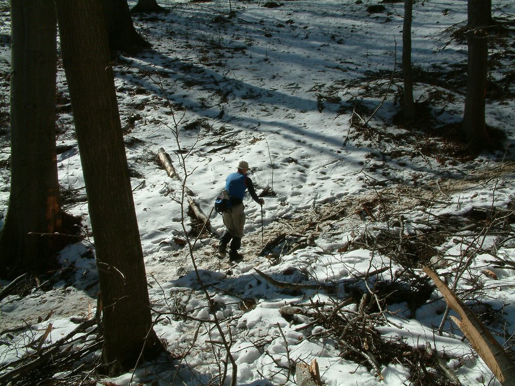 DSCF0073.JPG