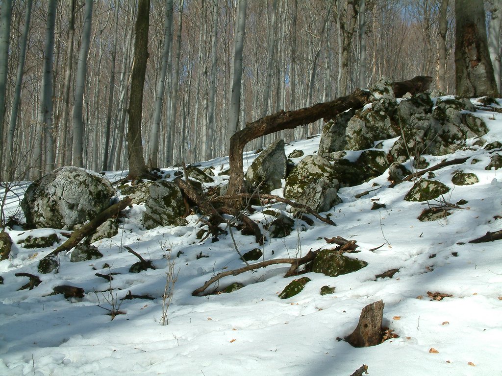 DSCF0077.JPG
