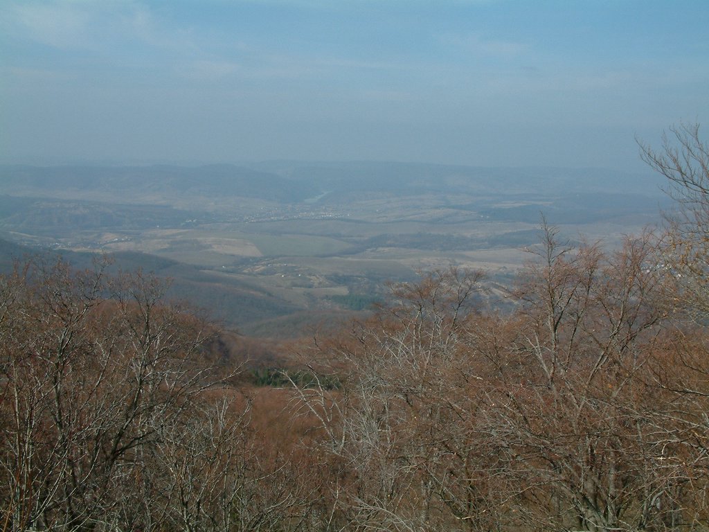 DSCF0082.JPG