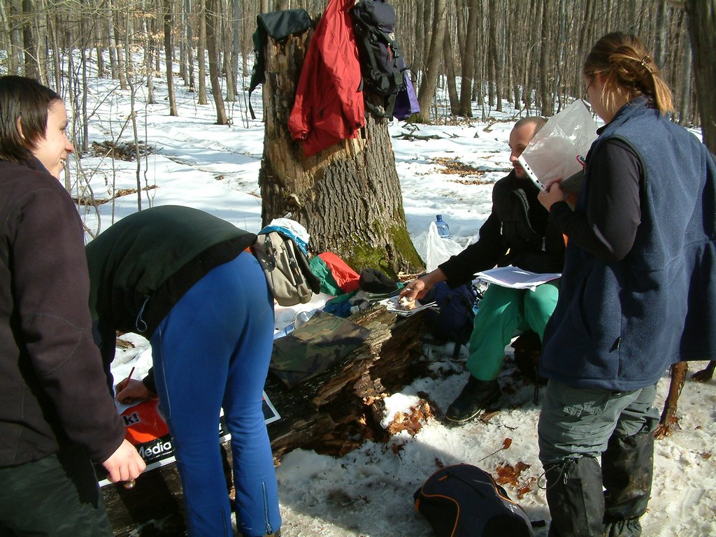 DSCF0083.JPG