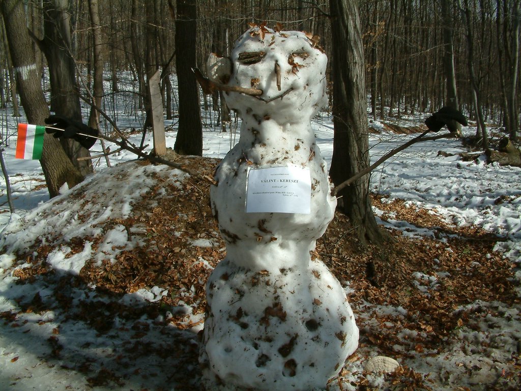 DSCF0084.JPG