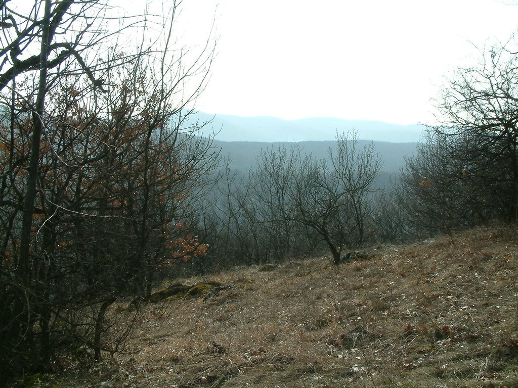 DSCF0087.JPG
