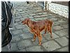DSCF0013.JPG