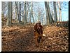 DSCF0019.JPG