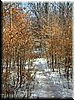 DSCF0031.JPG